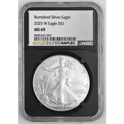 2025 W Burnished Silver Eagle (2)