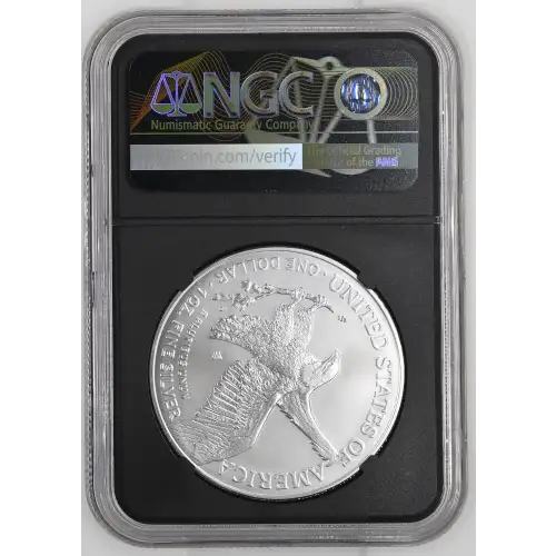 2025 W Burnished Silver Eagle (3)