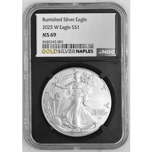 2025 W Burnished Silver Eagle (2)