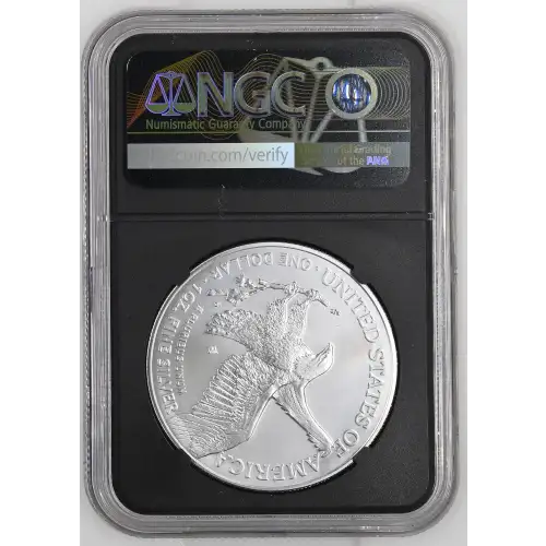 2025 W Burnished Silver Eagle (3)