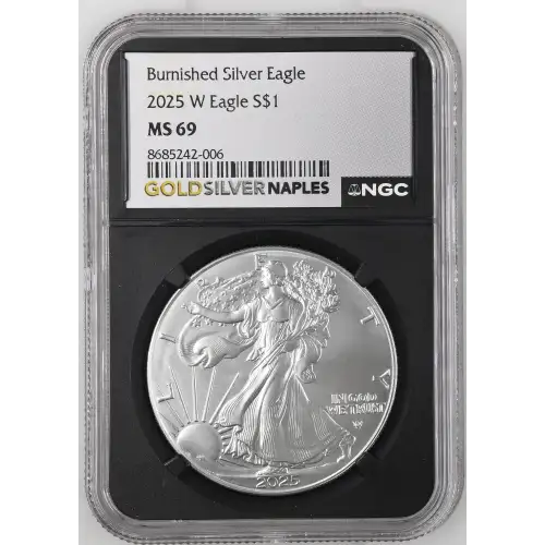 2025 W Burnished Silver Eagle (2)