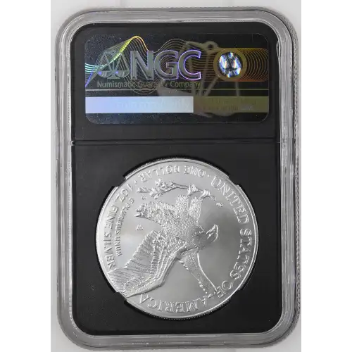 2025 W Burnished Silver Eagle (3)