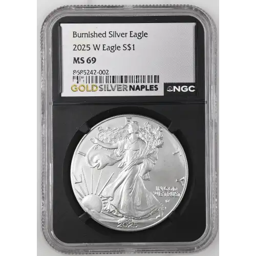 2025 W Burnished Silver Eagle (2)