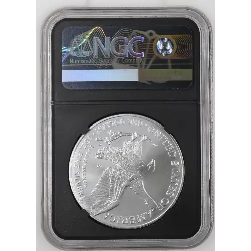 2025 W Burnished Silver Eagle (3)