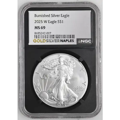 2025 W Burnished Silver Eagle (2)