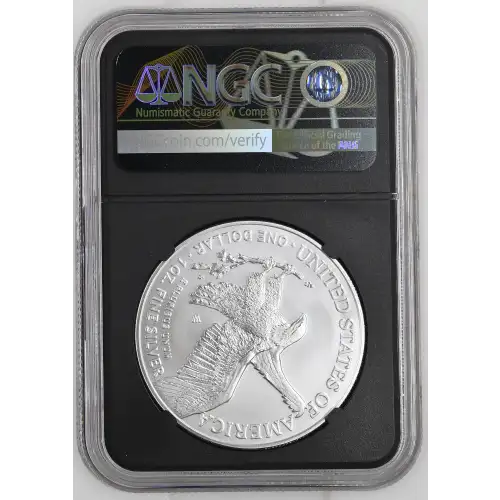2025 W Burnished Silver Eagle (3)