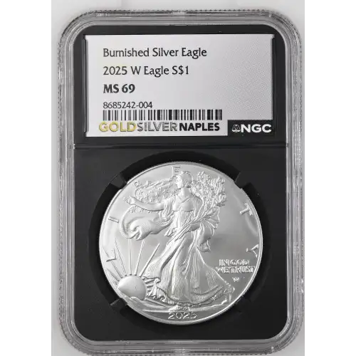 2025 W Burnished Silver Eagle (2)
