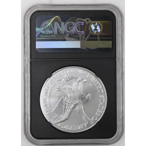 2025 W Burnished Silver Eagle (3)
