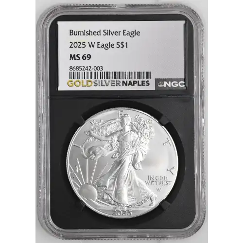 2025 W Burnished Silver Eagle (2)