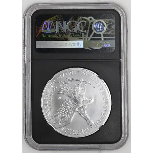 2025 W Burnished Silver Eagle (3)