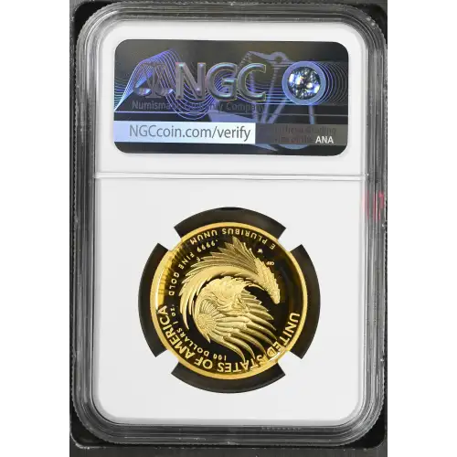 2025 W High Relief - .9999 Fine American Liberty Series ULTRA CAMEO (3)