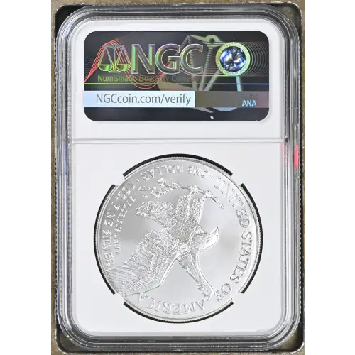 2025(P) Eagle Privy (3)
