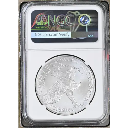2025(P) Eagle Privy (3)