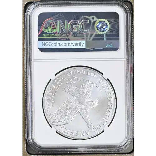 2025(P) Eagle Privy (3)