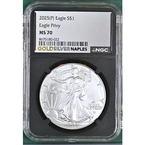 2025(P) Eagle Privy (2)