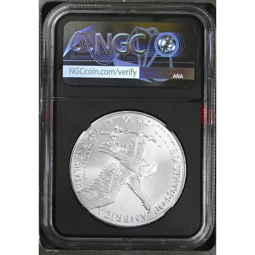 2025(P) Eagle Privy (3)