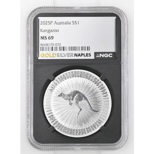 2025P Kangaroo (2)