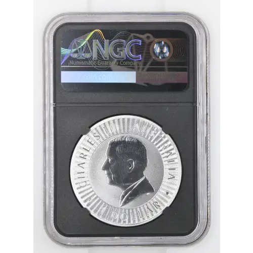 2025P Kangaroo (3)