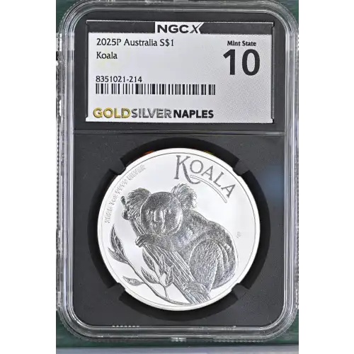 2025P Koala (2)