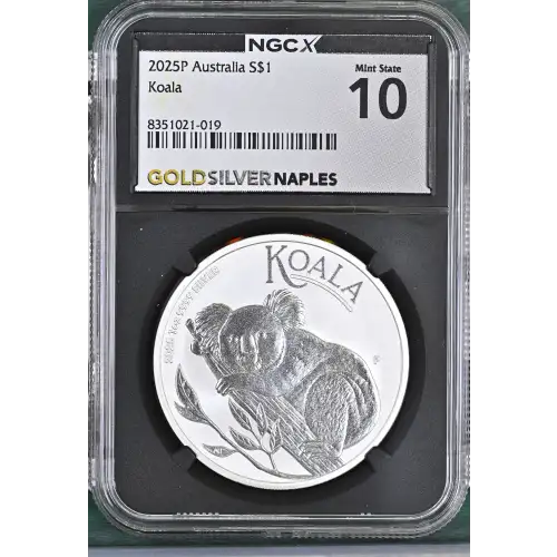 2025P Koala (2)