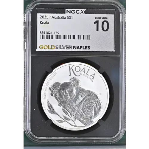 2025P Koala (2)