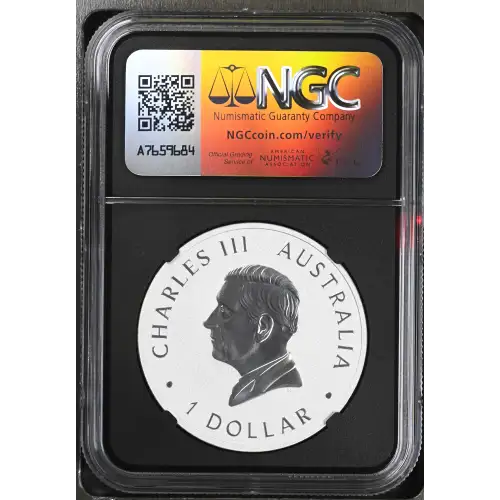 2025P Koala (3)