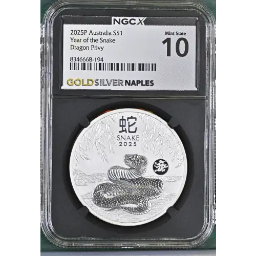 2025P Year of the Snake Dragon Privy (2)