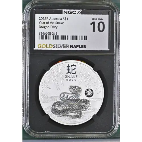 2025P Year of the Snake Dragon Privy (2)