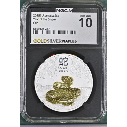 2025P Year of the Snake Gilt (2)