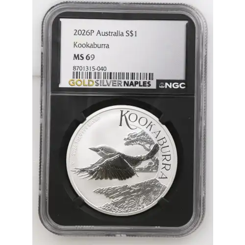 2026P Kookaburra (2)