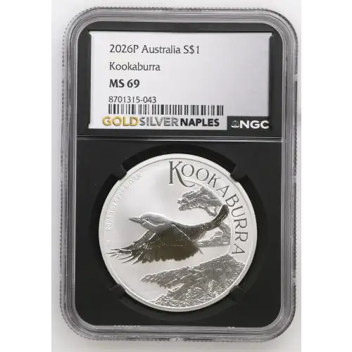 2026P Kookaburra (2)