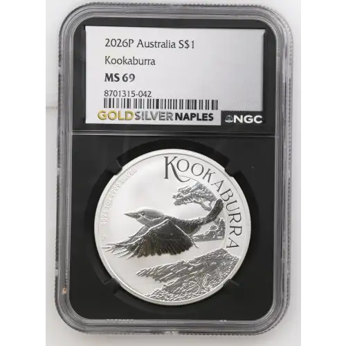 2026P Kookaburra (2)