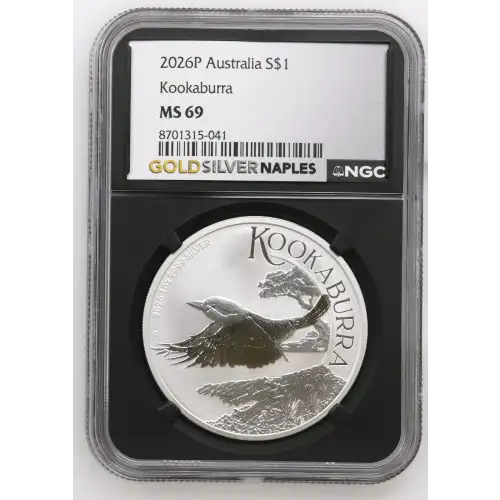 2026P Kookaburra (2)