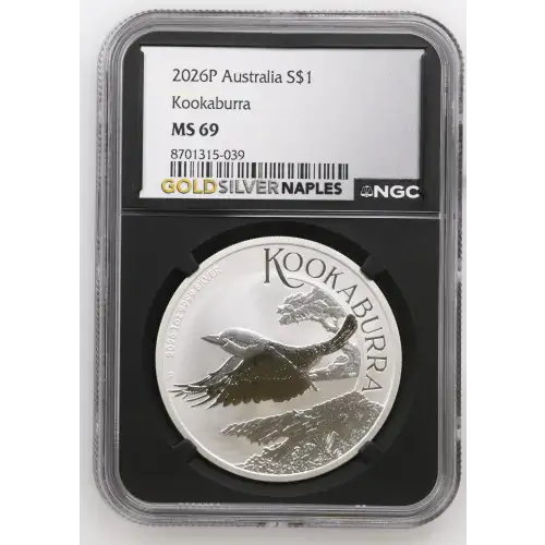 2026P Kookaburra (2)