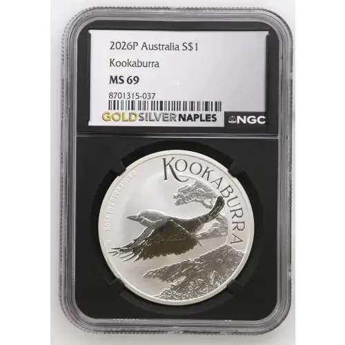 2026P Kookaburra (2)