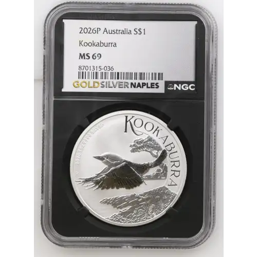 2026P Kookaburra (2)