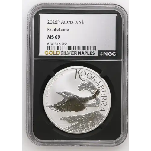 2026P Kookaburra (2)