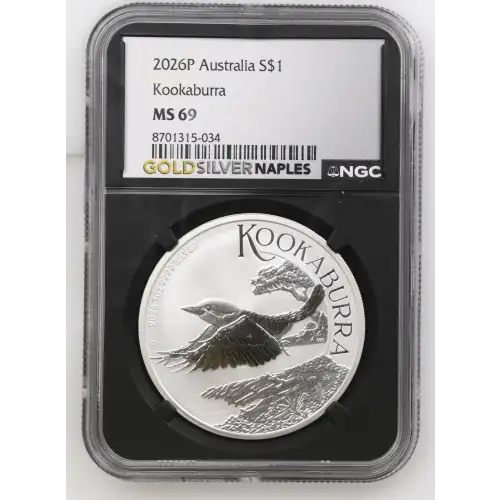 2026P Kookaburra (2)