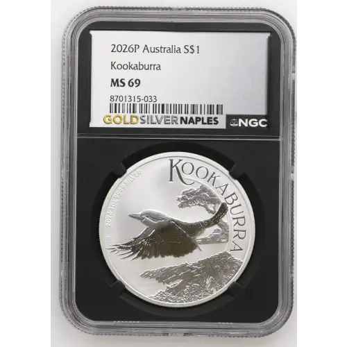 2026P Kookaburra (2)