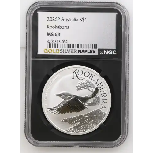 2026P Kookaburra (2)