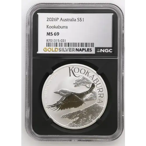 2026P Kookaburra (2)