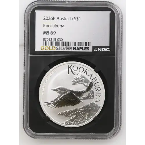2026P Kookaburra (2)