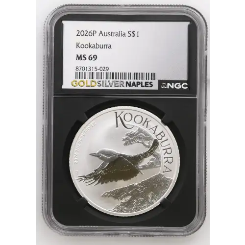 2026P Kookaburra (2)
