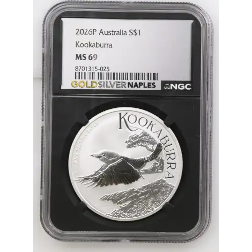 2026P Kookaburra (2)