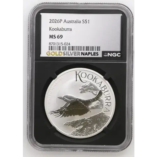 2026P Kookaburra (2)