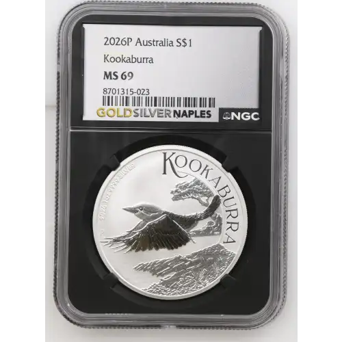 2026P Kookaburra (2)