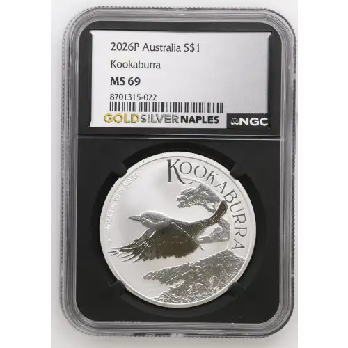 2026P Kookaburra (2)