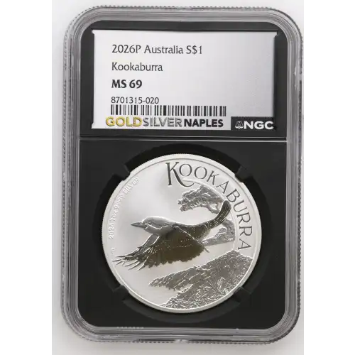 2026P Kookaburra (2)