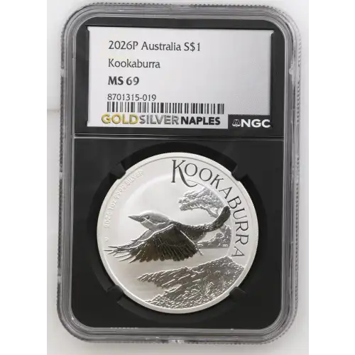 2026P Kookaburra (2)