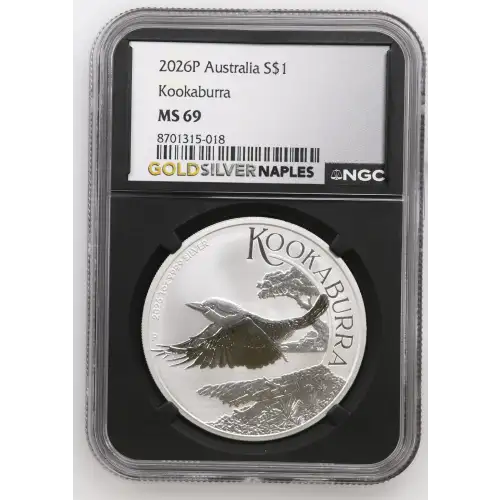 2026P Kookaburra (2)